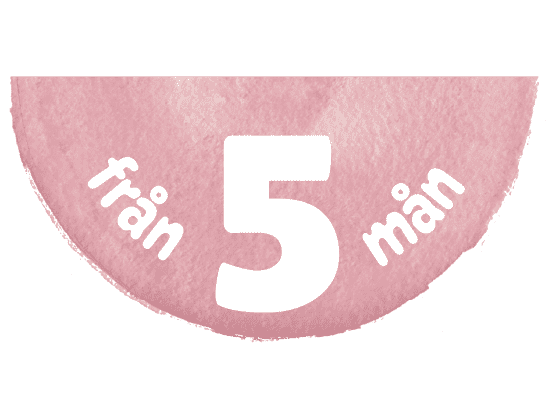 Age mark from 5 months